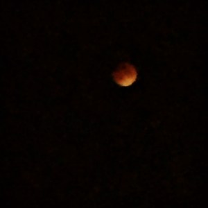 Processed with Rookie Cam