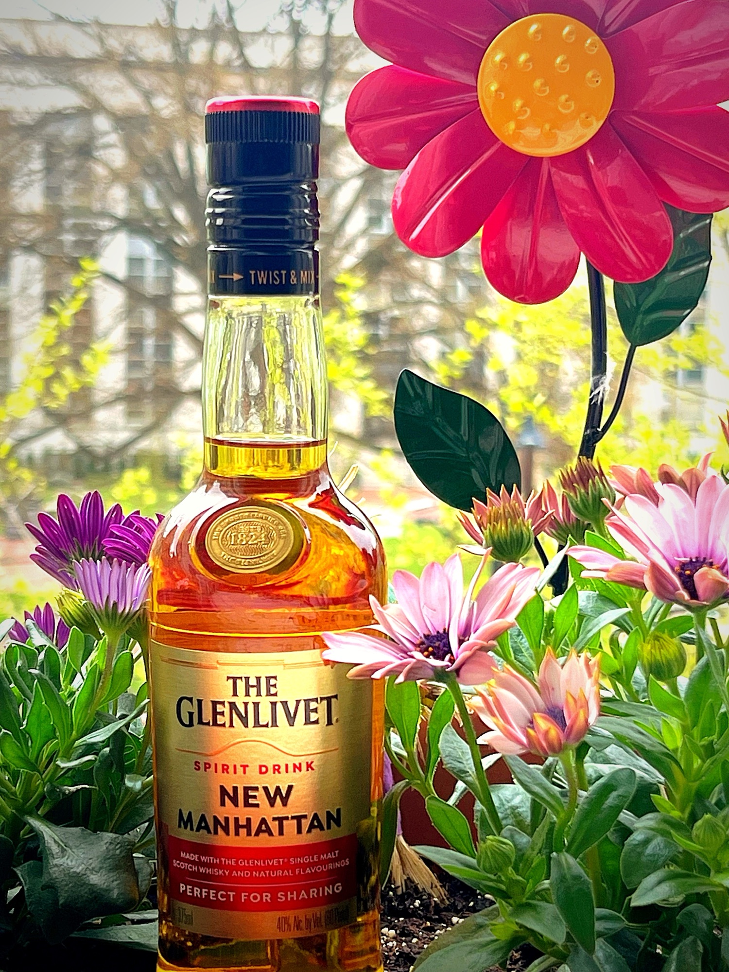 img_4920-1.jpg?w=768