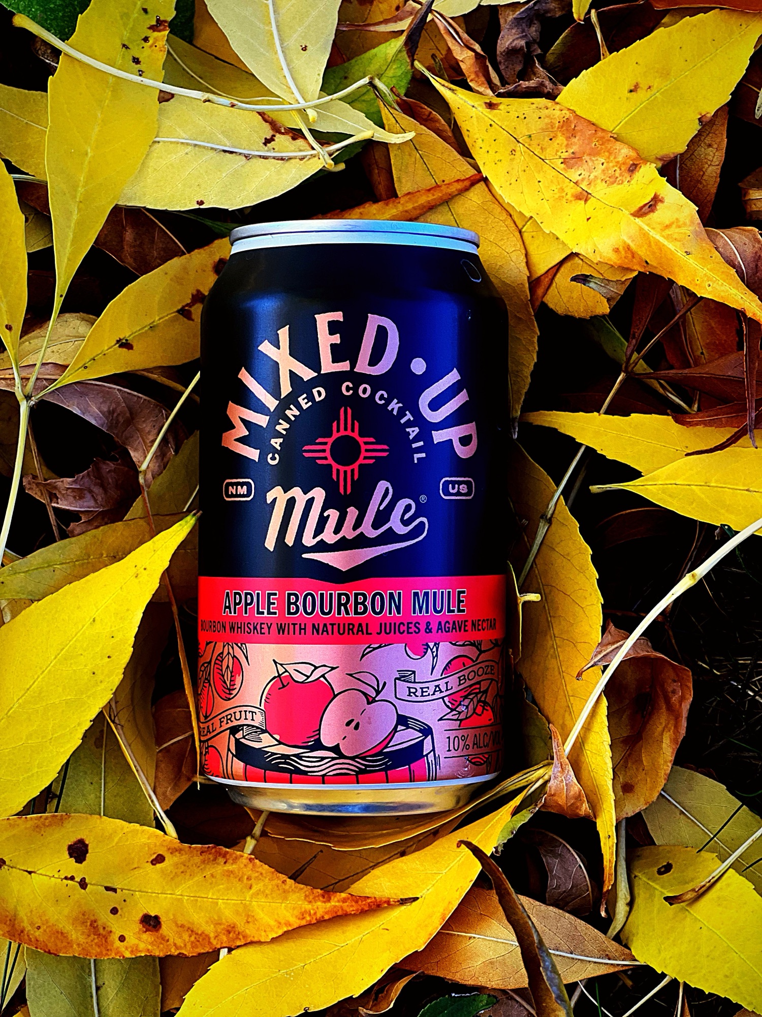 Apple Bourbon Mule – Mixed Up Canned Cocktails – thewhiskeywench