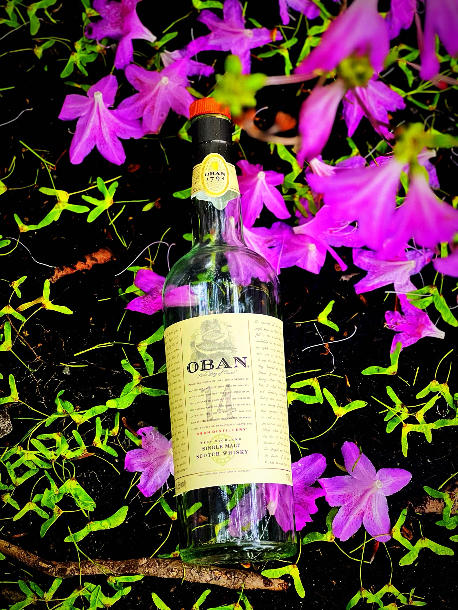 UPDATE: Oban 14 Year – thewhiskeywench