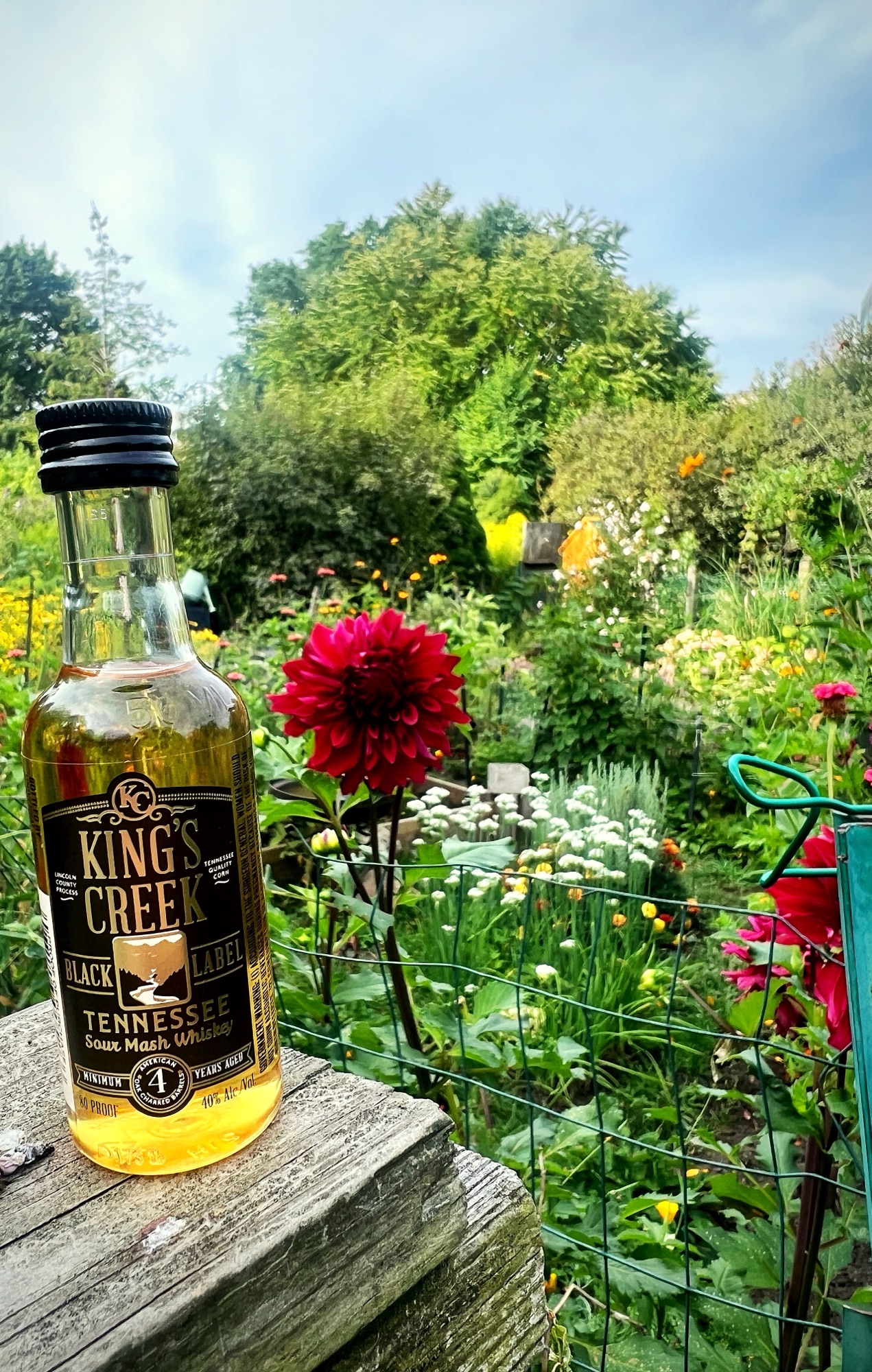 King's Creek Black Label Tennessee Sour Mash Whiskey – thewhiskeywench